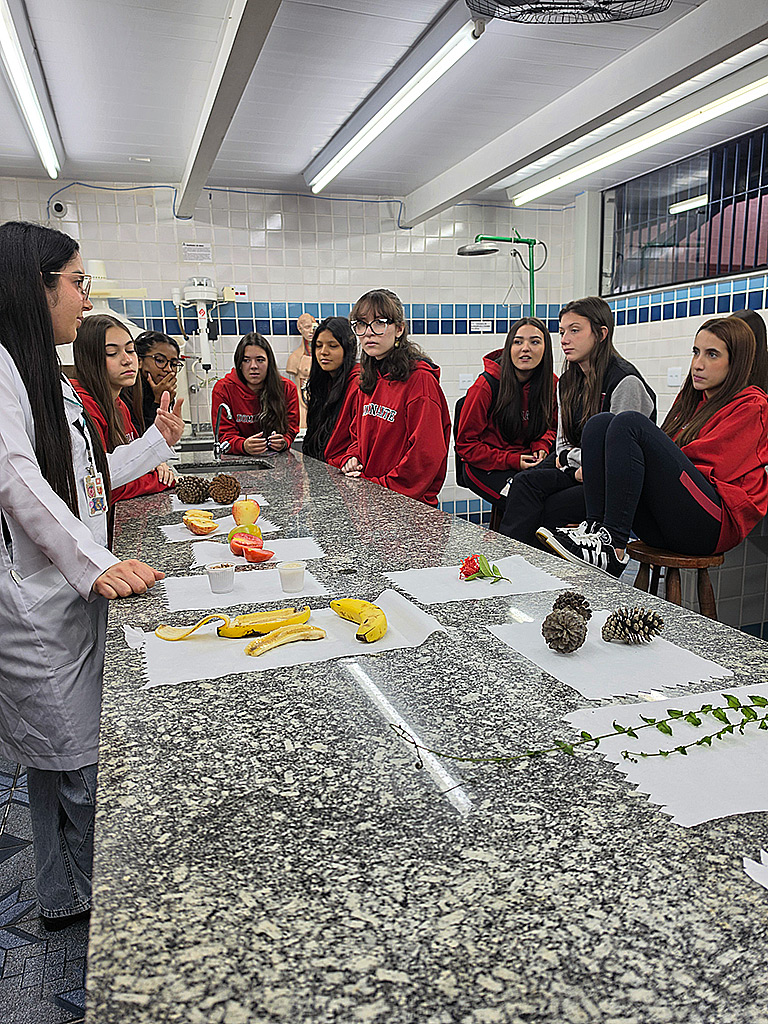 11/5/2026 – Atividade sobre a Linhagem Evolutiva das Plantas – Reino Plantae