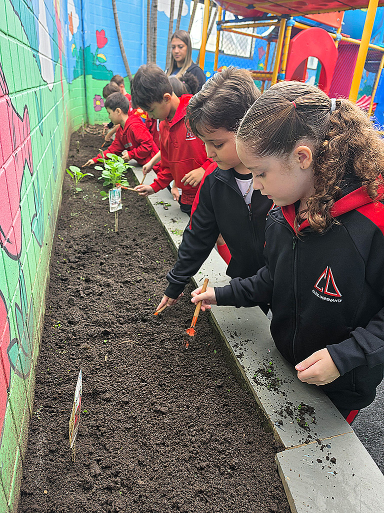 18/5/2026 – Limpando a Horta